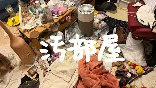 〔ごみ屋敷〕30分掃除🧹荒れ果てたリビングと玄関とトイレの電気
