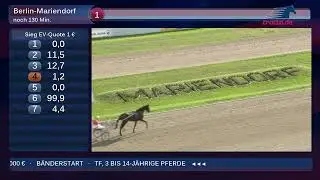 Breeders Crown Tag 2 - 2025 aus Berlin Mariendorf