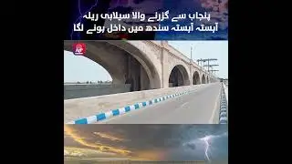 Monsoon 2025| Flood Situation | Punjab | Sindh | APP Exclusive