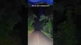 A dangerous road trip in the forest 😱☠️ #karnataka #forest #scary #forestsounds  #shorts