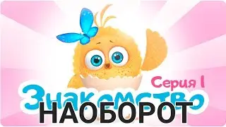 Цып Цып Знакомство наоборот