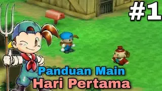 Cara Main Harvest Moon Back To Nature