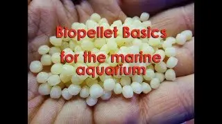 Are biopellets for you?