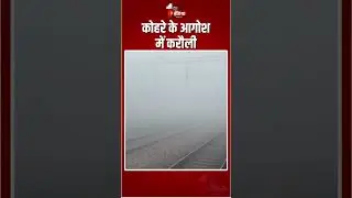 Rajasthan Weather Update: कोहरे के आगोश में करौली | Frost | Winter Season | Fog In Hindaun City
