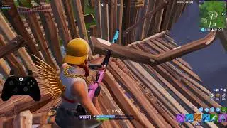 19 Kill Arena Solo | Controller On Pc | (Champion League)