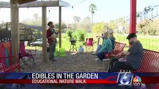 How to know which local wild plants are edible