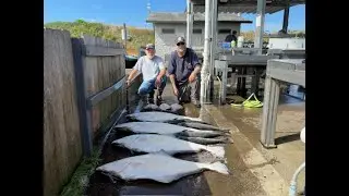 How Are We Going to Net 2 BIG Halibut At The Same Time?