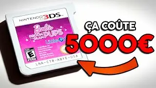 J'ai joué à ce jeu Nintendo 3DS, qui coûte 5000 €