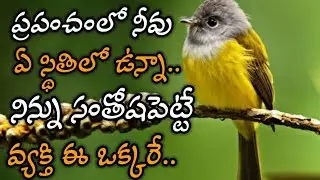 jeevitha satyalu #231|manchi matalu| inspiring quotes| motivational quotes |life changing quotes