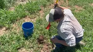 How to Do Soil Sampling for the CDFA Healthy Soils Program