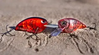 Squarebill Crankbait Tricks To Catch More Bass Right Now!
