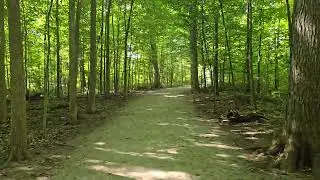 creek path woods | walking tour | #excercise | pinoy buhay abroad | September 17 2024 | Wrong Turn??