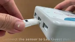 pH probe Vernier / Logger pro
