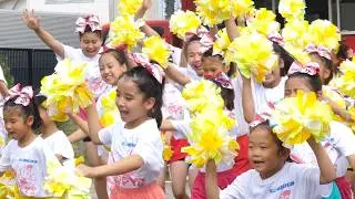 【チアダンス】【組体操】Puppys(パピーズ) 富山矯正展 横動画 2024年9月7日