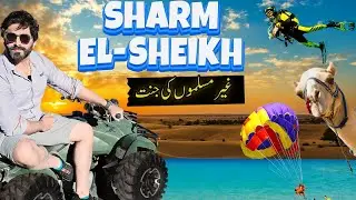 Sharm El Sheikh Adventures 2025 ||🇪🇬 || Egypt Desert Safari, Scuba Diving, Paragliding and Farsha