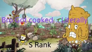 Now get in this pot. (root Pack S rank expert.)