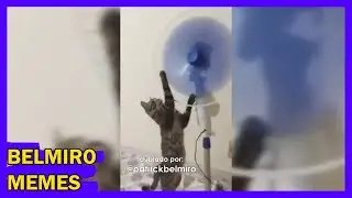 Belmiro Memes: Melhores dublagens engra&ccedil;adas da semana 67