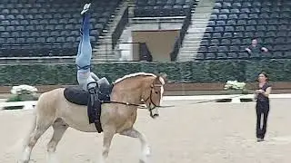 Equestrian Vaulting - Charlotte Lloyd