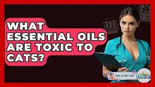 What Essential Oils Are Toxic To Cats? - Ask A Pet Vet