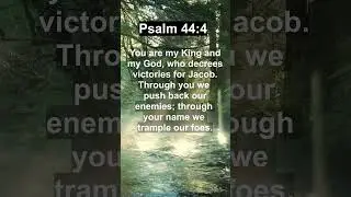 Verse of the day | #bibleverses #dailyverses #shorts #youtubeshorts