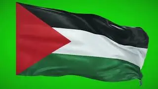 Palestine Flag Greenscreen