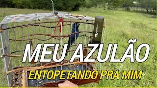 DESISTO DE CRIAR AZUL&Atilde;O 😱 | AZUL&Atilde;O EMTOPETANDO E PIANDO PRA  MIM
