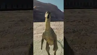 Mahuidacursors are such Adorable Creatures #jwe2 #shorts