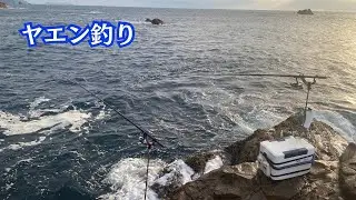 【ヤエン釣り】手作りヤエンを貰ったので使ってみた！！ヒヤヒヤドキドキの釣行！！徳島阿部