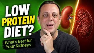 Protein And Kidney Disease: Does protein cause kidney damage and is plant protein safer