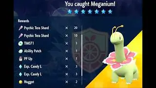 🔴 LIVE | Treinamento de EVs para RAID Meganium 🟢💥 Annihilape | Pok&eacute;mon Scarlet & Violet