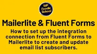 Part 1. How to set up the integration connection with Mailerlite and Fluent Forms to send info.