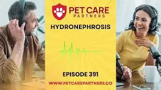 EP 391: Hydronephrosis in Dogs & Cats &ndash; Pathophysiology, Diagnosis & Clinical Approach