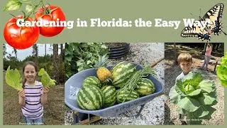 Easy Gardening in the Sunshine State