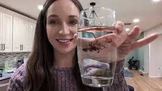 Mineral Drops Review