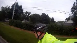 The Great Bird Attack #2