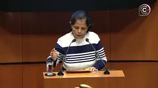 Sesión de la Cámara de Senadores, del 26 de noviembre de 2025