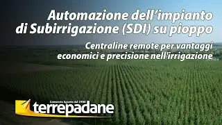 Automazione dell’impianto di Subirrigazione (SDI) su pioppo