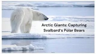 Photography in Svalbard