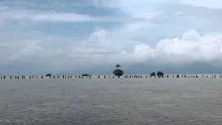 St Andrew's Festival, Custom fishing @ Rah island, Banks Island, Vanuatu vol 8
