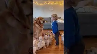 DOG DON&rsquo;T &lsquo;BOW BOW&rsquo;&mdash;KID TRYING TO TEACH DOG TO TALK #usa #viral #fyp #clips #shortsfeed #shorts #dog