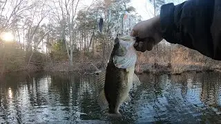 Small Boat BASS fishing in late winter!  Crazy catch!!  Private Pond! Spinnerbait Fish!!