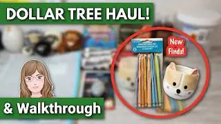 Fun New DOLLAR TREE Haul and Walkthrough in 3 Pennsylvania, Stores! February 10, 2026