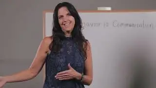 Trauma in the Classroom   Trauma Informed Teaching Strategies (5/6)