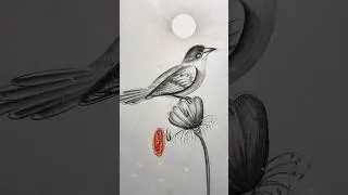 How To Draw a Bird Tutorial #drawing #art #draw #sketch #pencildrawing #birds #howtodraw