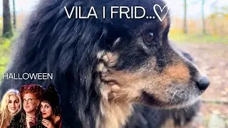 VILA I FRID... | Halloweenvlog