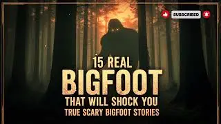 15 Real Bigfoot Encounters That Will Shock You | True Scary Bigfoot Stories