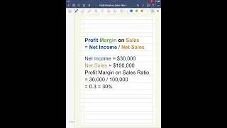 Profit Margin on Sales Ratio 101