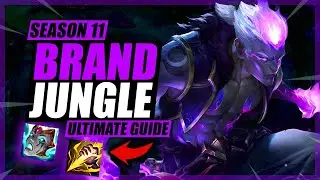ULTIMATE SEASON 11 BRAND JUNGLE GUIDE | Everything You Need to Know