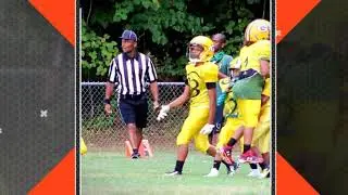 The Gresham Park 11U Rattlers