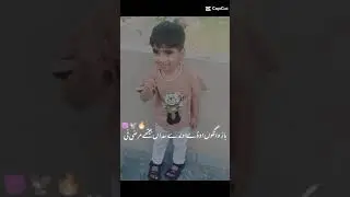 Ali Haider cute 😍 photo 📸 with Punjabi song